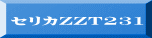ZJZZT231 